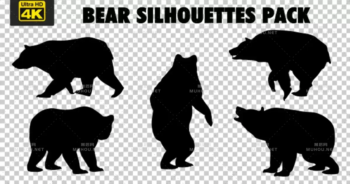 4k动画熊轮廓5组4K Bear Silhouettes - 5 Pack视频素材带Alpha通道
