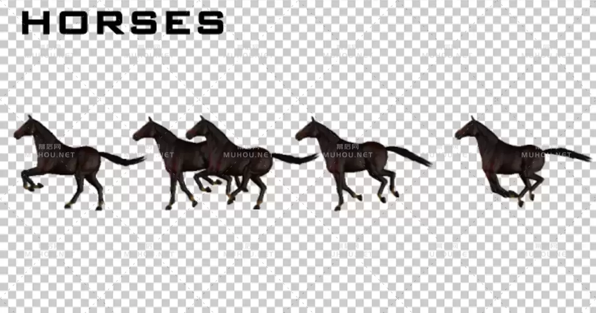 马奔跑动画Horses视频素材带Alpha通道