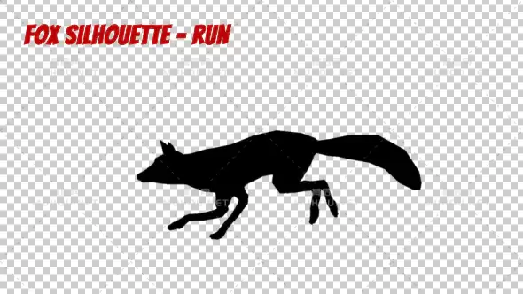 狐狸剪影-奔跑Fox Silhouette - Run视频素材带Alpha通道插图