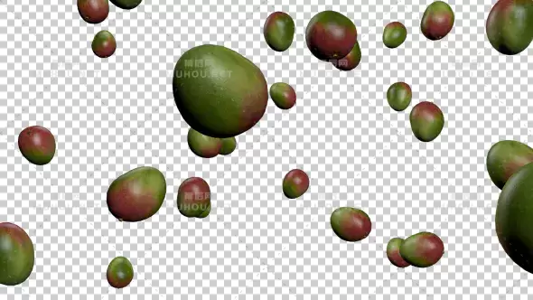 芒果从天空中落下Falling Mangos视频素材带Alpha通道插图