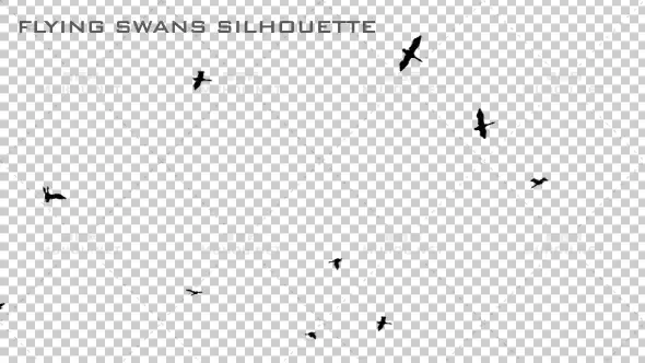 飞行天鹅剪影Flying Swans Silhouette视频素材带Alpha通道插图