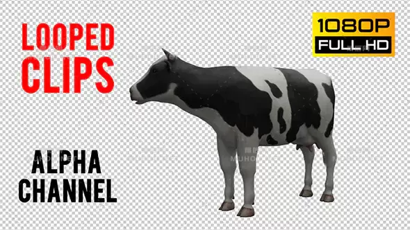 奶牛三维动画Cow Looped视频素材带Alpha通道插图