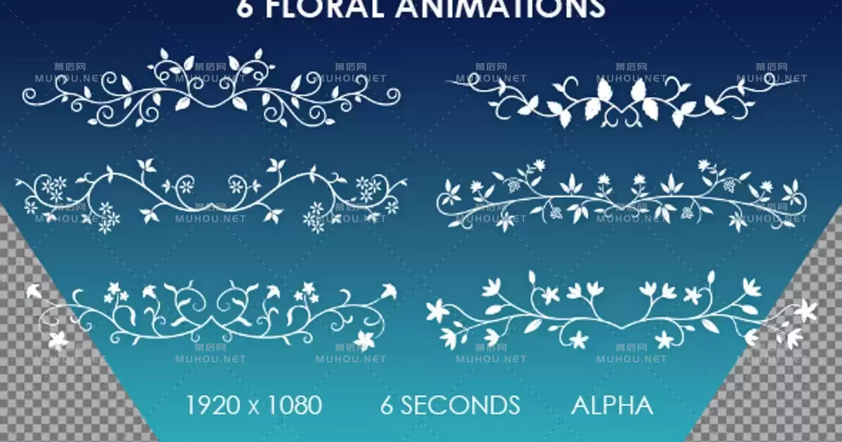 种花卉装饰动画6 Floral Ornamental Animations视频素材带Alpha通道