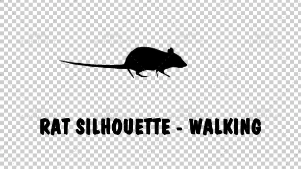 老鼠剪影-行走Rat Silhouette - Walking视频素材带Alpha通道插图