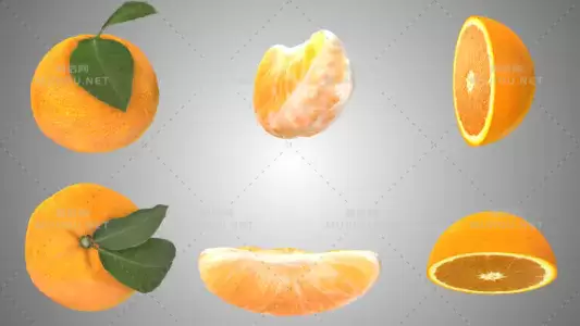 橙色的橘子橙子动画Orange Rotating视频素材带Alpha通道插图