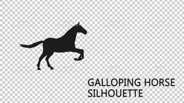 马奔跑动画剪影Galloping Horse Silhouette视频素材带Alpha通道插图