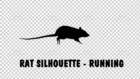 老师剪影跑步Rat Silhouette - Running视频素材带Alpha通道插图