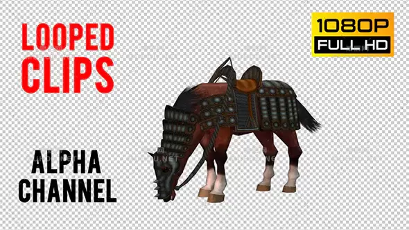 古代带盔甲战马吃草Horse Looped 3视频素材带Alpha通道插图