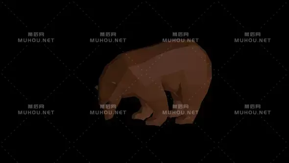 低聚面灰色熊3d动物Low Poly Bear视频素材带Alpha通道插图