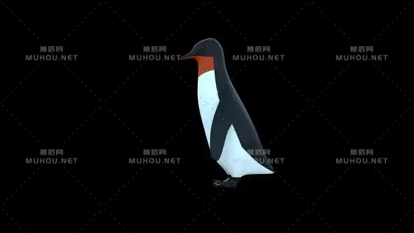 企鹅玩具漫步Penguin Toy Walk视频素材带Alpha通道插图