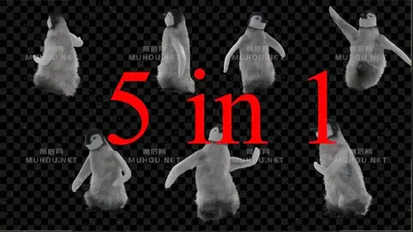 企鹅跳舞5组动画Penguin Dancing 5 Pack视频素材带Alpha通道插图