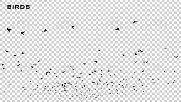 鸟类飞行剪影动画Birds Silhouette视频素材带Alpha通道插图