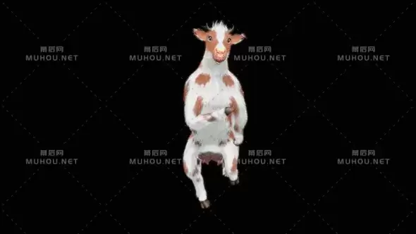 三维卡通奶牛跳舞高清Cow Dance HD视频素材带Alpha通道插图
