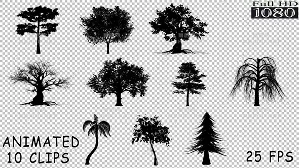 剪影各种类型树木透明Silhouette Trees Pack视频素材带Alpha通道插图