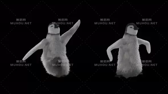 企鹅3d跳舞动画Penguin视频素材带Alpha通道插图