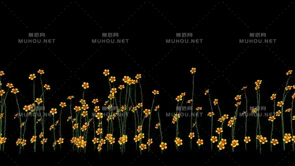 黄色花朵动画Yellow Flowers视频素材带Alpha通道插图