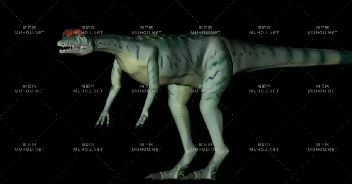 旋转的绿色三维恐龙Dilophosaurus Dinosaur in Rotation on Black Background视频素材带Alpha通道