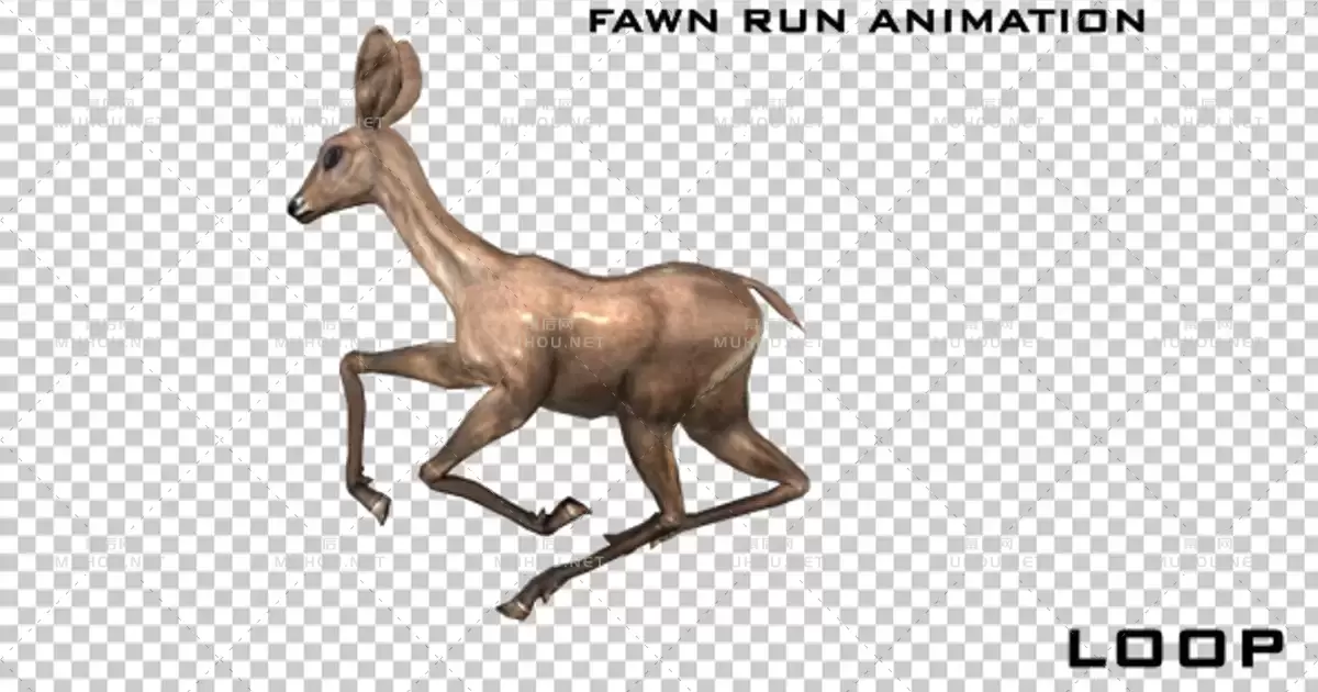 小鹿跑动画Fawn Run Animation视频素材带Alpha通道