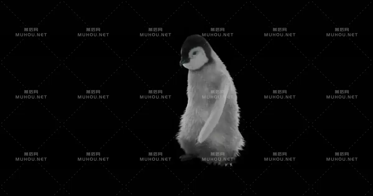 企鹅3d动画舞蹈Penguin视频素材带Alpha通道