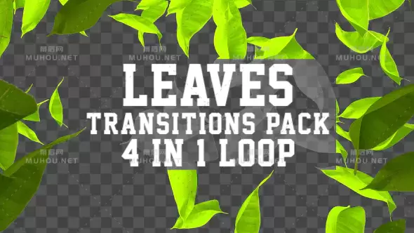 叶子过渡包4合1Leaves Transition Pack 4 in 1视频素材带Alpha通道插图