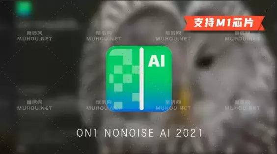 ON1 NoNoise AI 2021 v16.0.0.10861 中文特别版下载 (MAC智能AI摄影降噪软件) 支持Silicon M1