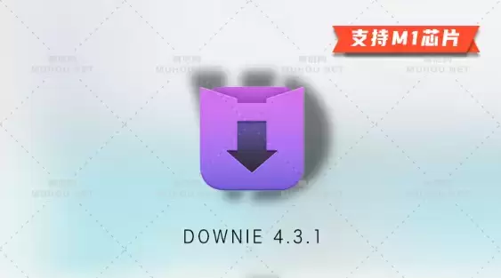 Downie 4.3中文特别版下载 (MAC最好的视频下载工具) 支持Silicon M1