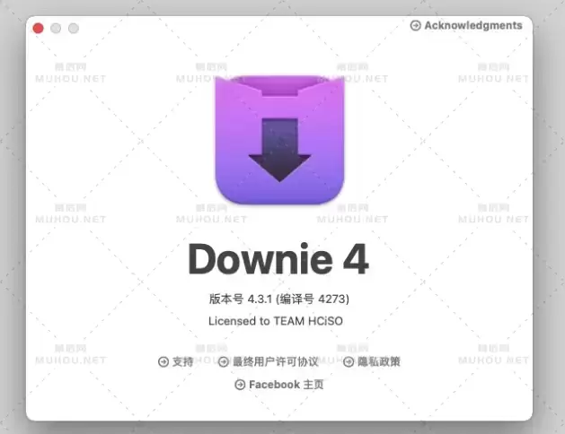Downie 4.3中文特别版下载 (MAC最好的视频下载工具) 支持Silicon M1插图2