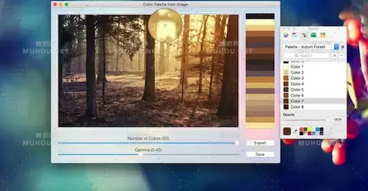Color Palette from Image Pro 2.1 照片配色提取软件破解版下载 (MAC) 支持Silicon M1插图2