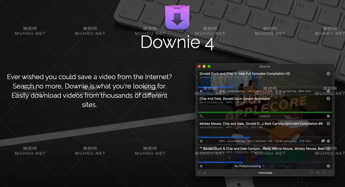 Downie 4.3中文特别版下载 (MAC最好的视频下载工具) 支持Silicon M1插图3