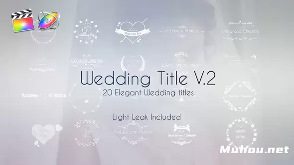 婚礼标题复古动画花纹文字V.2Wedding Title V.2视频FCPX模板插图