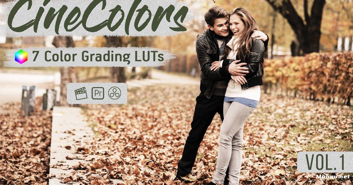 Luts视频预设-7组颜色分级视频调色滤镜 秋季系列 CineColors LUTs Vol.1CineColors LUTs for Video Editing Vol.1插图