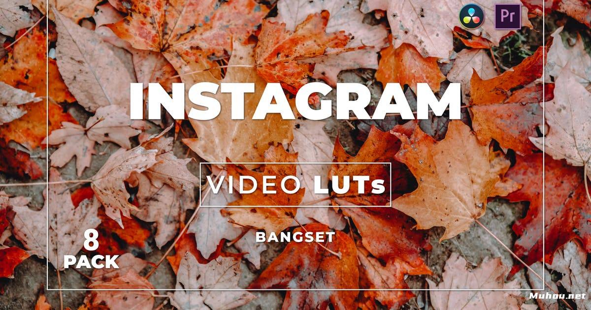 Luts视频预设-邦塞特秋季自然调色滤镜8套LUTsBangset Instagram Pack 8 Video LUTs插图