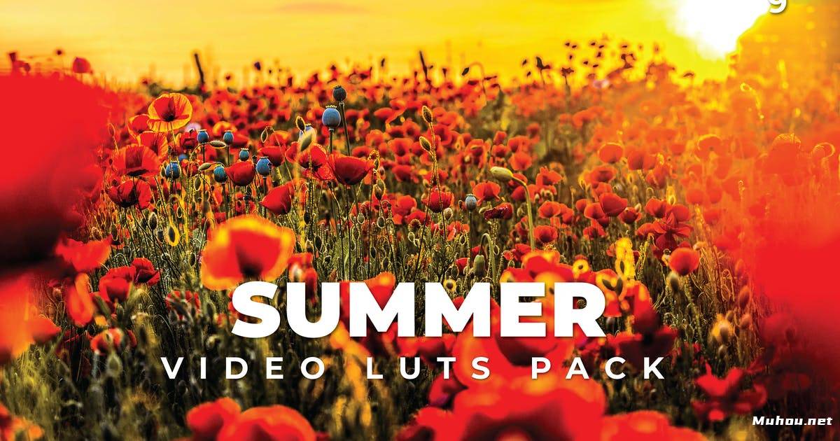 Luts视频预设-夏季假日自然视频调色滤镜LUTs第9卷Summer Pack Video LUTs Vol.9插图