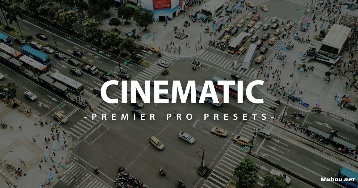 Luts视频预设-5组电影高级专业视频调色预设Cinematic Premier Pro Video Presets插图