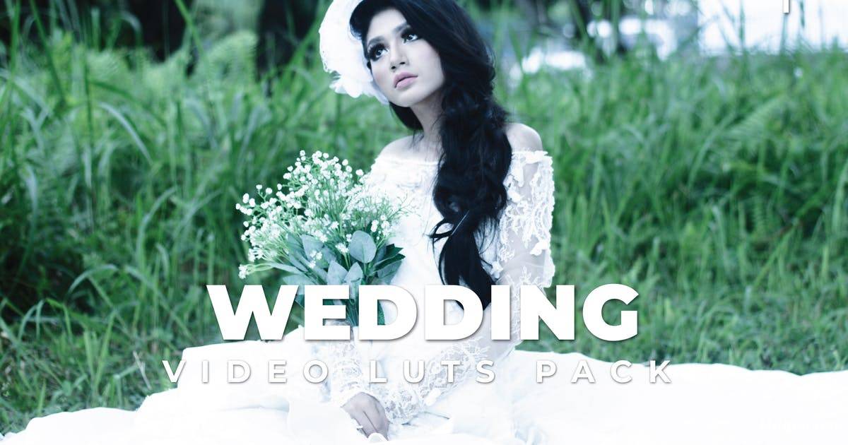 Luts视频预设-婚礼视频去色风格调色滤镜LUTs Vol.1Wedding Pack Video LUTs Vol.1插图