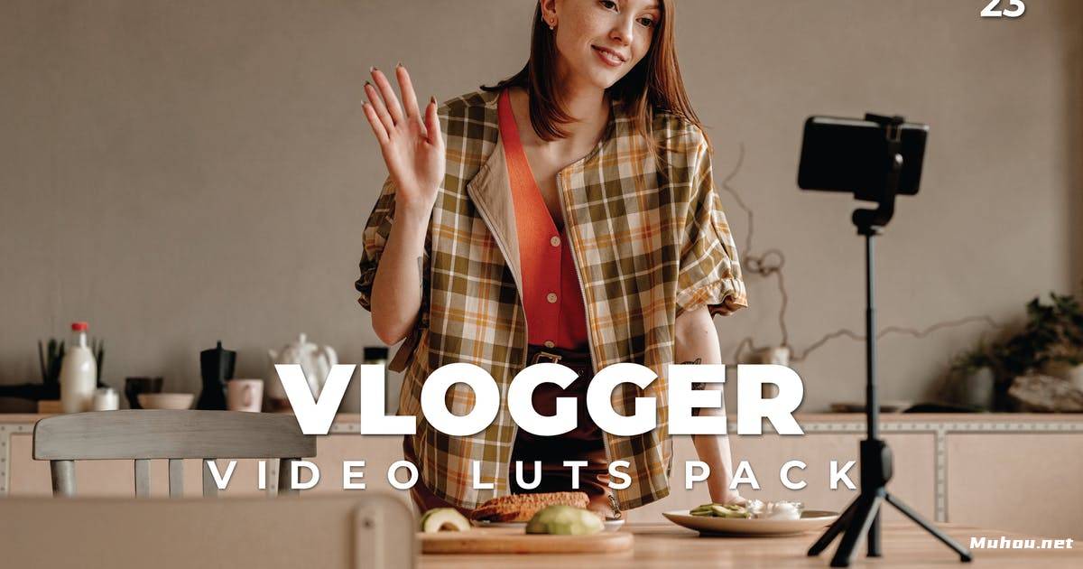 Luts视频预设-视频vlog个人短片风格调色滤镜第23卷Vlogger Pack Video LUTs Vol.23插图