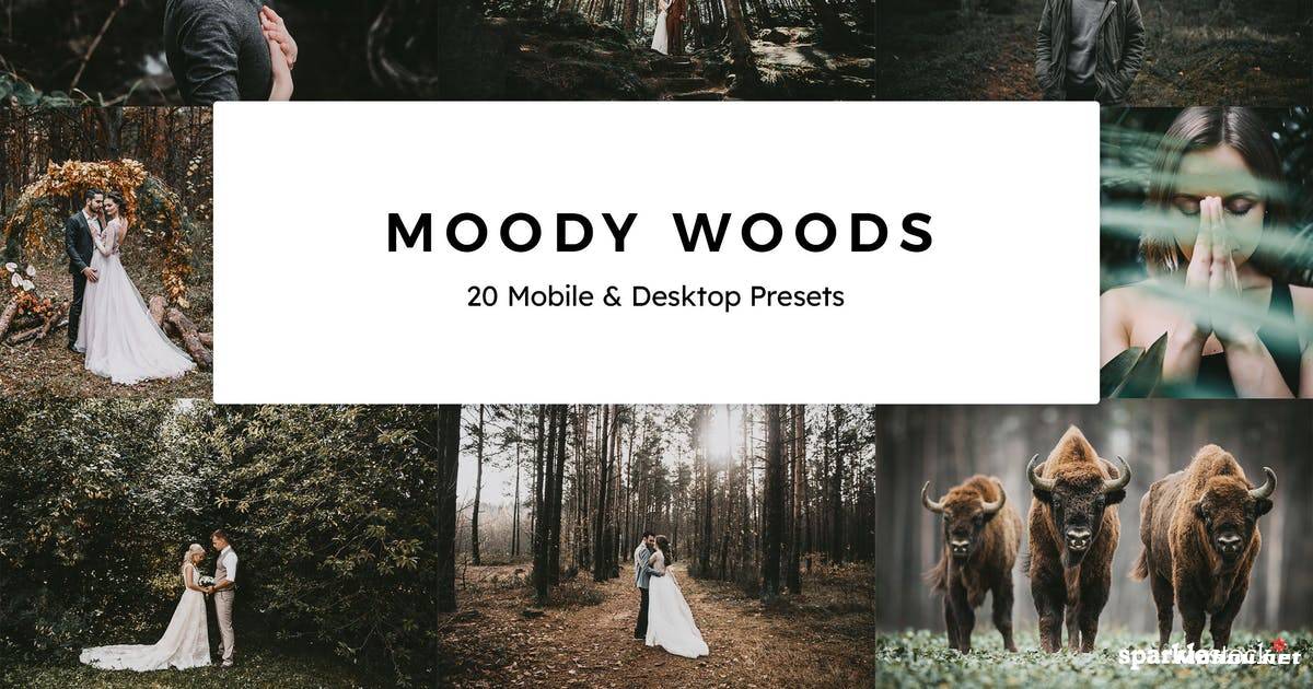 Luts调色预设-20组自然古朴原始森林色调滤镜Moody Woods Lightroom Presets & LUTs