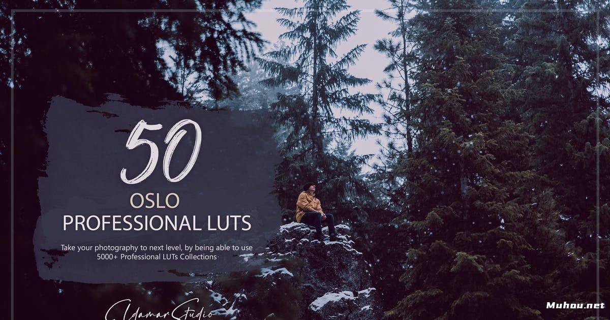 Luts调色预设-50电影质感调色滤镜下载Oslo LUTs Pack