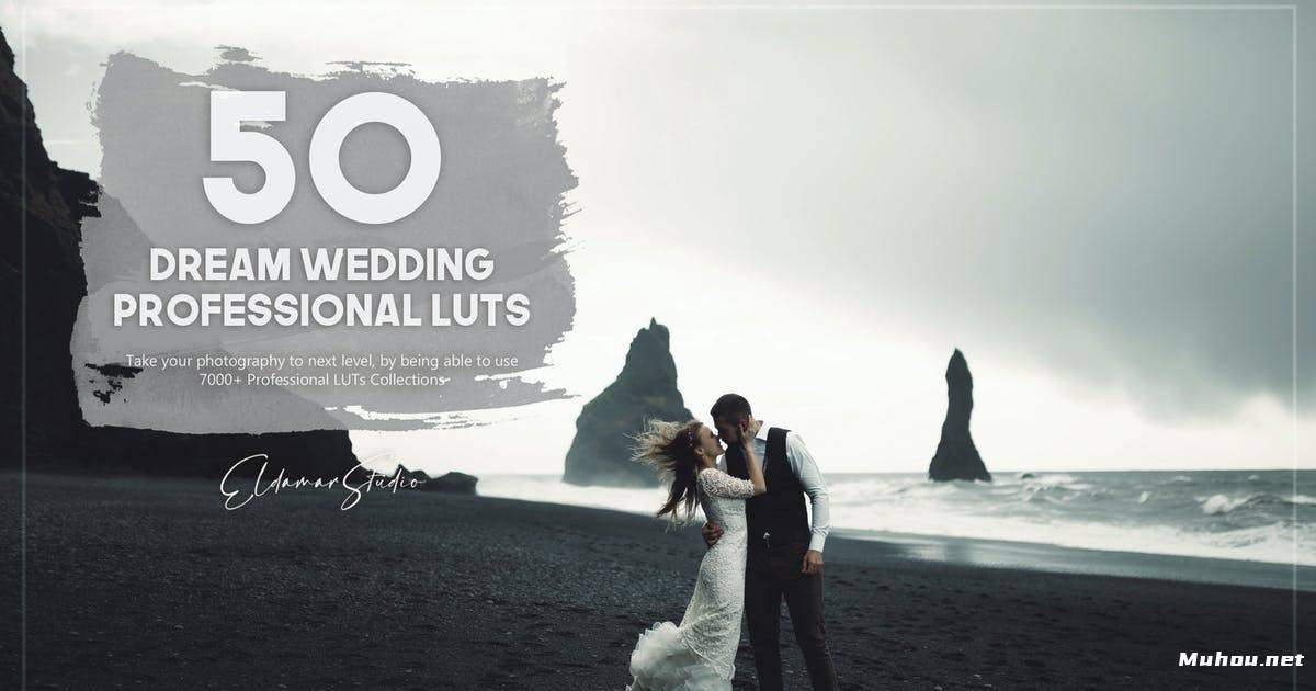 Luts调色预设-50个梦幻婚礼卢茨包调色滤镜50 Dream Wedding LUTs Pack