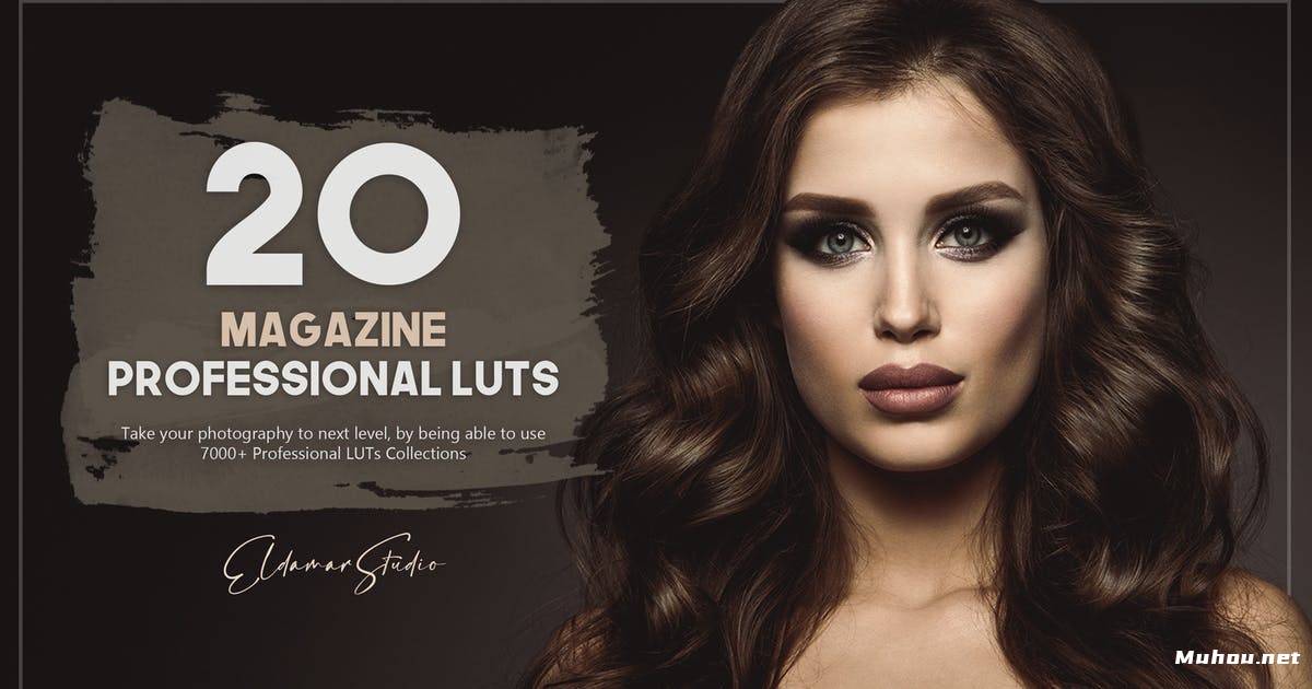 Luts调色预设-20个杂志模特肖像调色滤镜 Magazine LUTs Pack插图