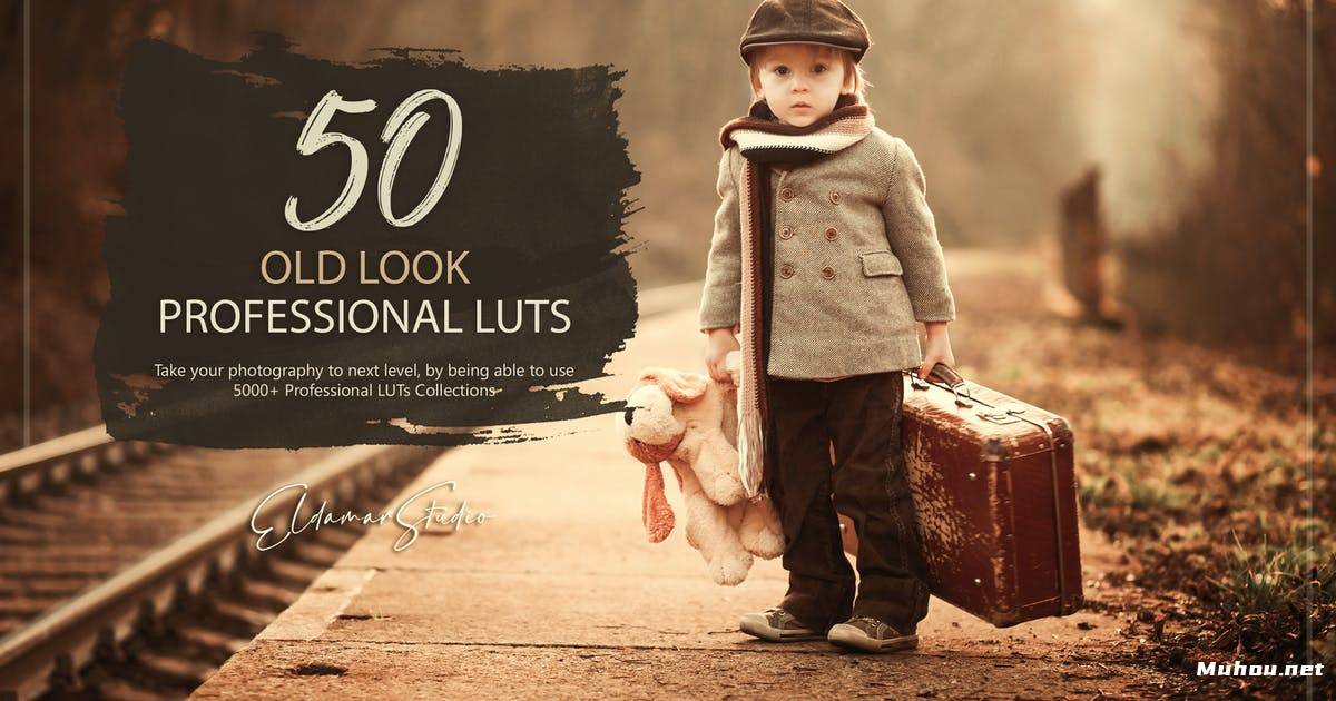 Luts调色预设-50个复古怀旧电影色调调色滤镜50 Old Look LUTs Pack插图