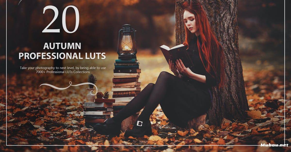 Luts调色预设-20个秋季魔法少女森林系调色滤镜20 Autumn LUTs Pack插图