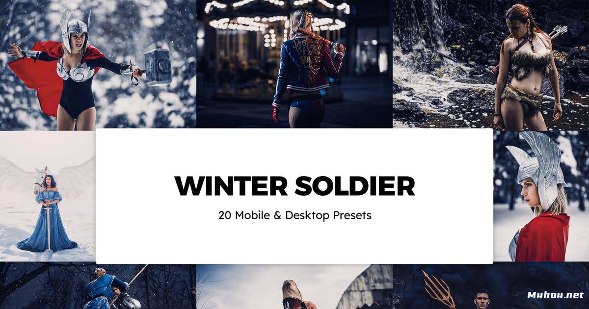 Luts调色预设-20冬季士兵冬季调色滤镜LUTs20 Winter Soldier Lightroom Presets & LUTs插图