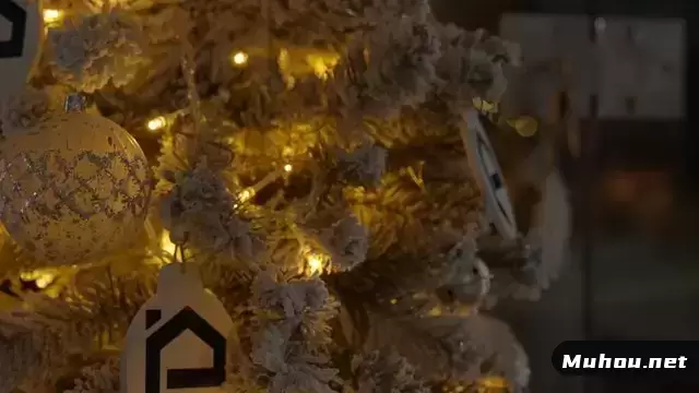 用小夜灯装饰圣诞树视频素材插图