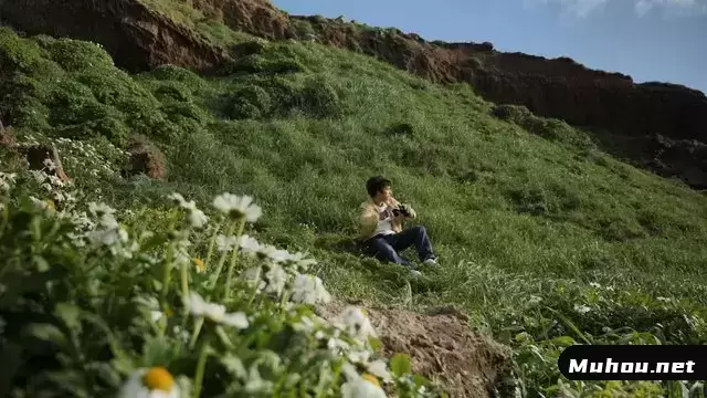 一个坐在草地上的男人透过双筒望远镜视频素材插图