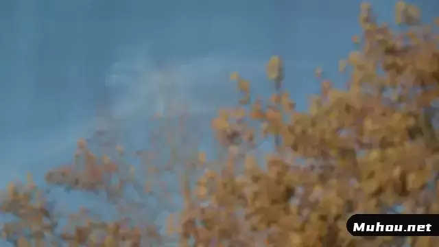 秋天树木的模糊镜头视频素材插图