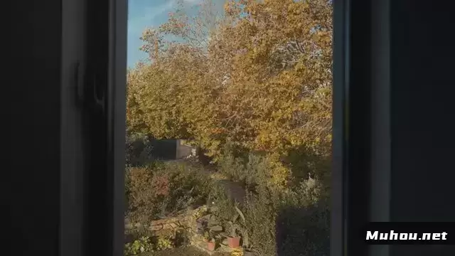 从窗户可以看到金色的秋天风景视频素材