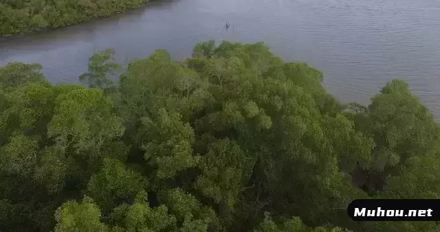 巴西河上的船视频素材