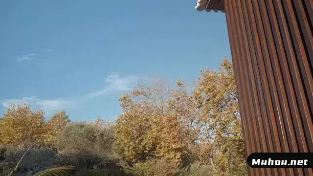秋天的后院场景视频素材