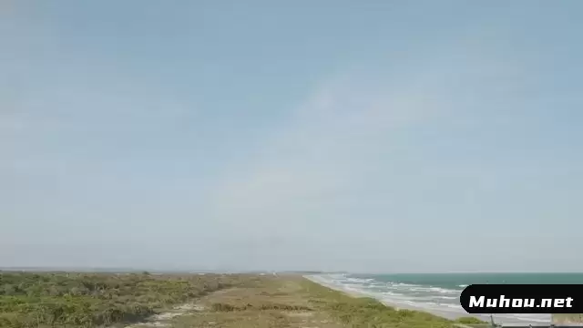海岸线上的绿色植物视频素材插图